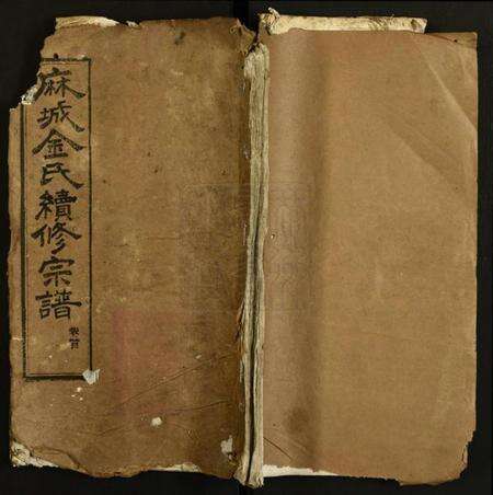 湖北金氏族谱-金氏宗谱.pdf电子版缩略图