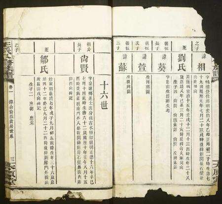 湖南王氏族谱-王氏八修族谱.pdf电子版预览图3