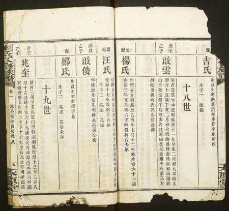 湖南王氏族谱-王氏八修族谱.pdf电子版预览图5