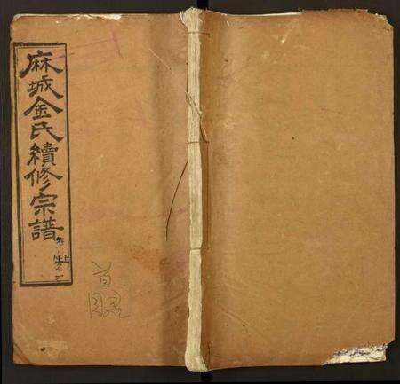 湖北金氏族谱-金氏宗谱.pdf电子版缩略图