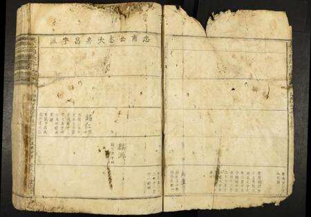 江西李氏族谱-兴邑桐溪李氏族谱.pdf电子版预览图3