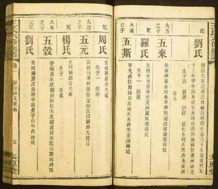 湖南王氏族谱-王氏六修族谱.pdf电子版预览图5