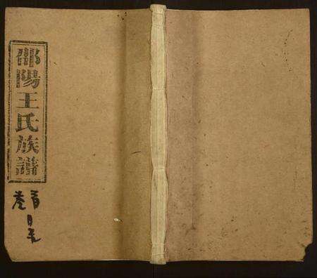 湖南王氏族谱-王氏六修族谱.pdf电子版缩略图