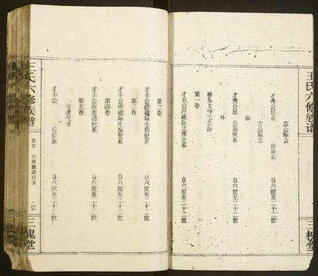 湖南王氏族谱-王氏六修族谱.pdf电子版预览图4