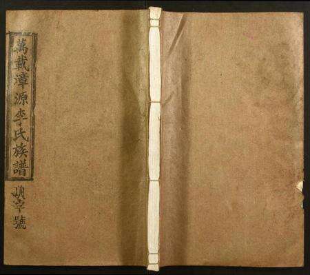 江西李氏族谱-万载漳源李氏族谱.pdf电子版缩略图