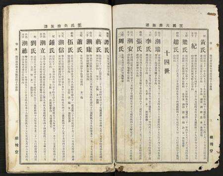 湖南王氏族谱-王氏六修族谱 [残卷].pdf电子版预览图2