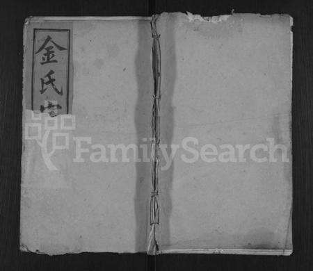 湖北金氏族谱-金氏宗谱 [残卷].pdf电子版缩略图