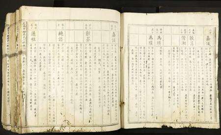 江西李氏族谱-虔南中牌李氏七修族谱.pdf电子版预览图5