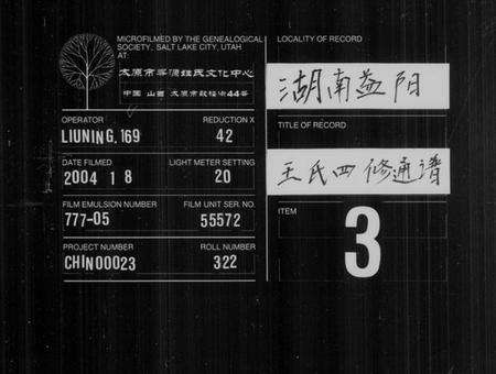 湖南王氏族谱-王氏四修通谱.pdf电子版缩略图