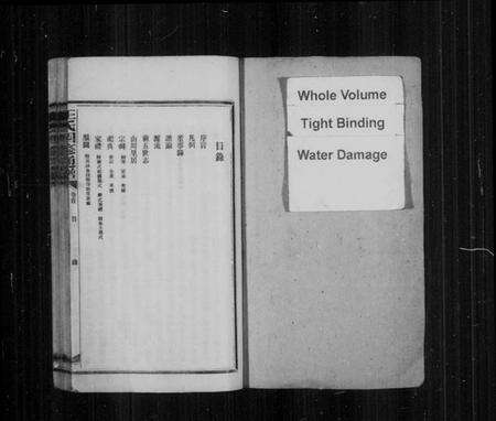 湖南王氏族谱-王氏四修通谱.pdf电子版预览图2