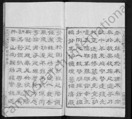 湖南王氏族谱-王氏宗谱 [各房分卷,首5卷].pdf电子版预览图4