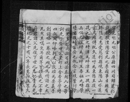 湖南王氏族谱-王氏家乘 [10卷,首1卷].pdf电子版预览图4