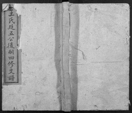 湖南王氏族谱-王氏廷五公四修支谱.pdf电子版缩略图