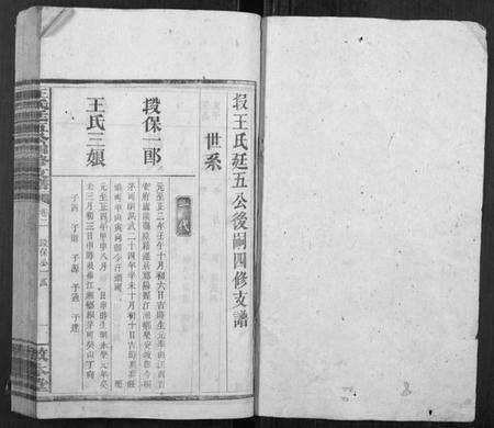 湖南王氏族谱-王氏廷五公四修支谱.pdf电子版预览图1