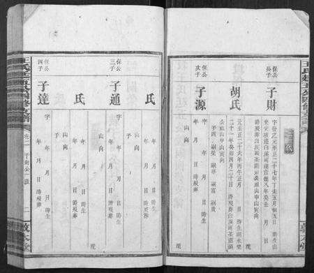 湖南王氏族谱-王氏廷五公四修支谱.pdf电子版预览图2