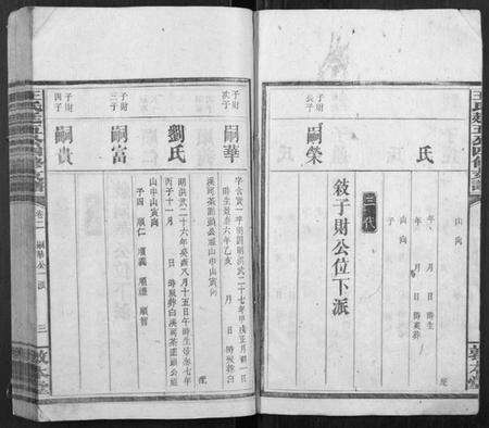 湖南王氏族谱-王氏廷五公四修支谱.pdf电子版预览图3