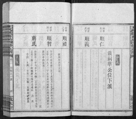 湖南王氏族谱-王氏廷五公四修支谱.pdf电子版预览图4