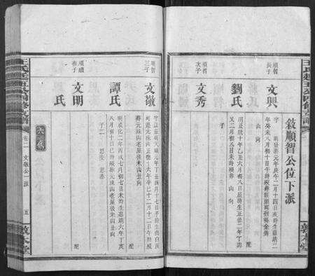 湖南王氏族谱-王氏廷五公四修支谱.pdf电子版预览图5