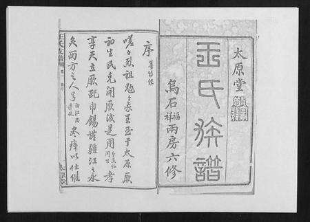 湖南王氏族谱-王氏支谱 [20卷].pdf电子版预览图1