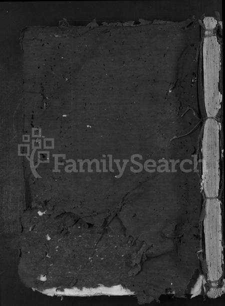 江西李氏族谱-雩都西平李氏族谱 [不分卷].pdf电子版缩略图