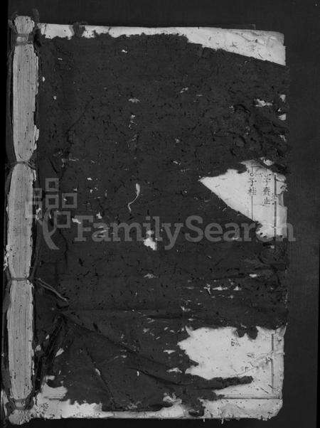 江西李氏族谱-雩都西平李氏族谱 [不分卷].pdf电子版预览图1