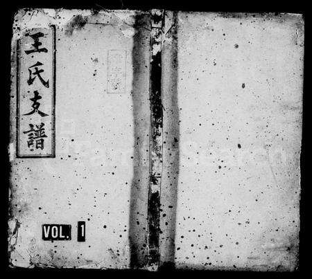 湖南王氏族谱-王氏支谱 [6卷].pdf电子版预览图1