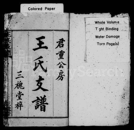 湖南王氏族谱-王氏支谱 [6卷].pdf电子版预览图2