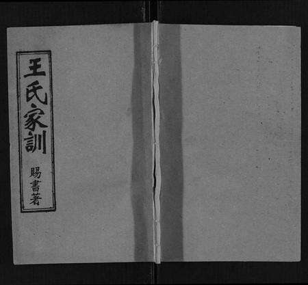 湖南王氏族谱-王氏族谱.pdf电子版缩略图