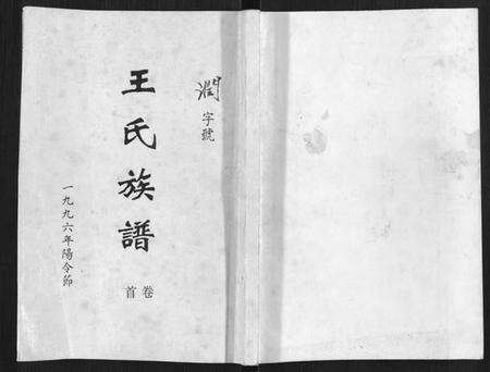 湖南王氏族谱-王氏族谱.pdf电子版缩略图