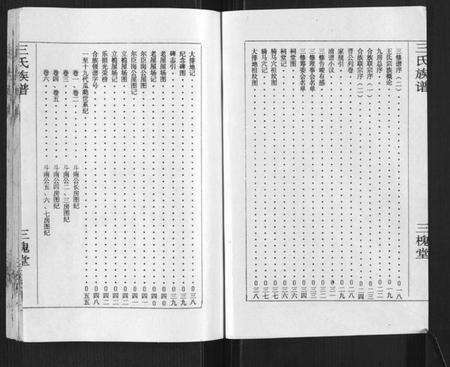 湖南王氏族谱-王氏族谱.pdf电子版预览图2