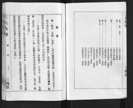 湖南王氏族谱-王氏族谱.pdf电子版预览图3