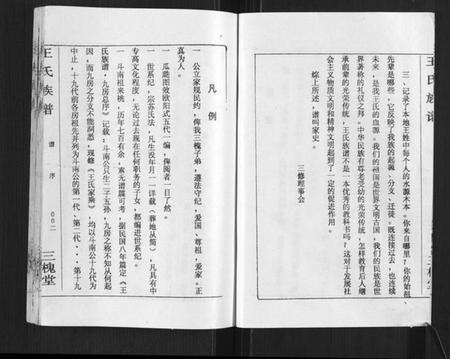 湖南王氏族谱-王氏族谱.pdf电子版预览图4