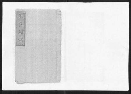 湖南王氏族谱-王氏族谱.pdf电子版缩略图