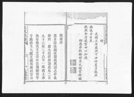 湖南王氏族谱-王氏族谱.pdf电子版预览图4