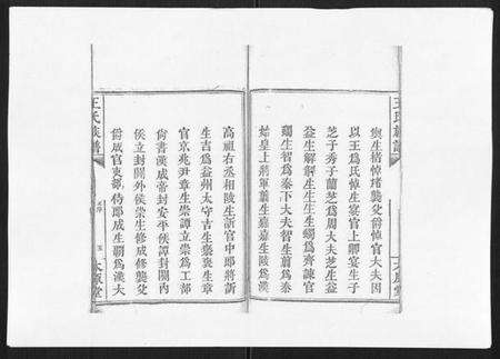 湖南王氏族谱-王氏族谱.pdf电子版预览图5