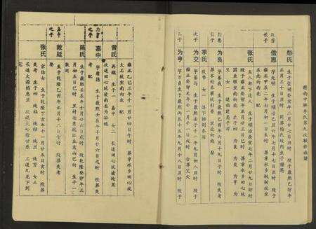 江西李氏族谱-赣南中牌祠李氏族谱[不分卷].pdf电子版预览图3