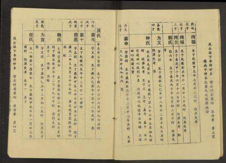 江西李氏族谱-赣南中牌祠李氏族谱[不分卷].pdf电子版预览图4