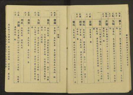 江西李氏族谱-赣南中牌祠李氏族谱[不分卷].pdf电子版预览图5