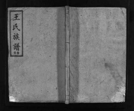 湖南王氏族谱-王氏族谱 [16卷,首3卷].pdf电子版预览图1