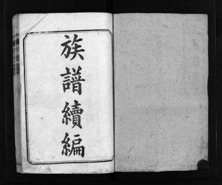 湖南王氏族谱-王氏族谱 [16卷,首3卷].pdf电子版预览图2