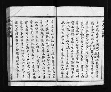 湖南王氏族谱-王氏族谱 [16卷,首3卷].pdf电子版预览图5