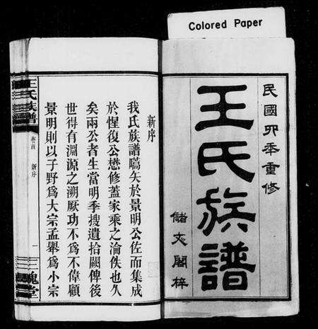 湖南王氏族谱-王氏族谱 [3卷,首2卷].pdf电子版预览图2