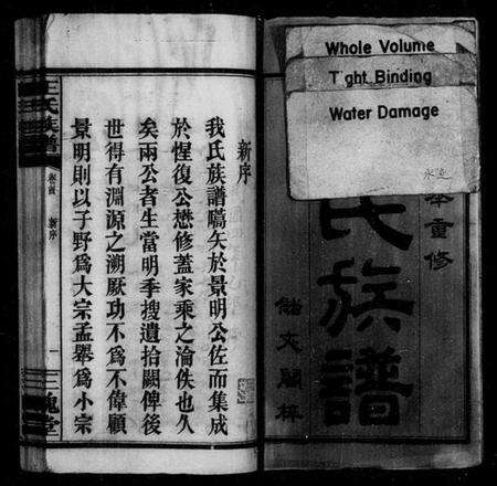 湖南王氏族谱-王氏族谱 [3卷,首2卷].pdf电子版预览图3