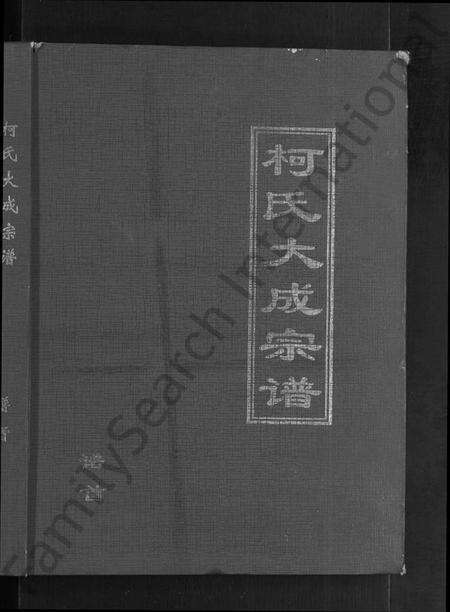 湖北柯氏族谱-柯氏大成宗谱 [不分卷].pdf电子版预览图1