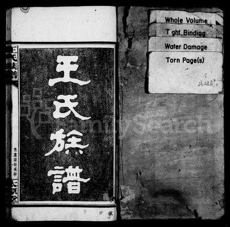 湖南王氏族谱-王氏族谱 [6卷,首1卷].pdf电子版预览图2