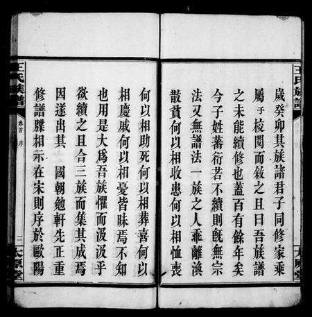 湖南王氏族谱-王氏族谱 [6卷,首1卷].pdf电子版预览图4