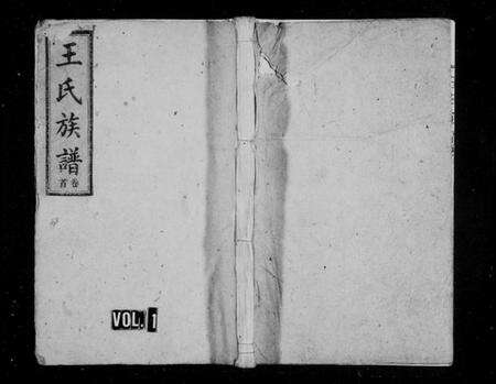 湖南王氏族谱-王氏族谱 [9卷,首1卷].pdf电子版预览图1