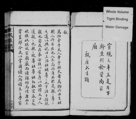 湖南王氏族谱-王氏族谱 [9卷,首1卷].pdf电子版预览图2