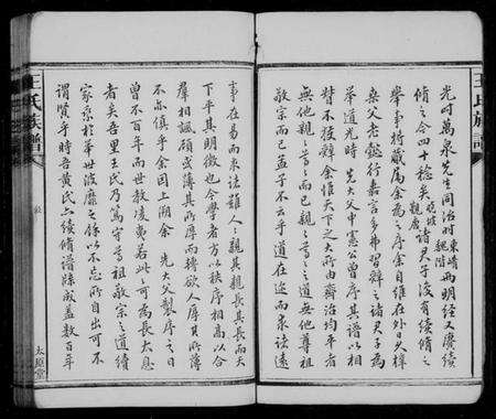 湖南王氏族谱-王氏族谱 [9卷,首1卷].pdf电子版预览图5