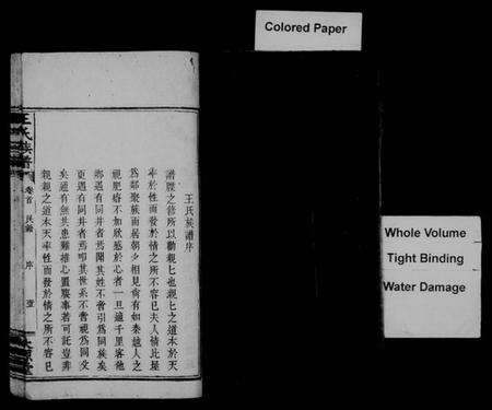 湖南王氏族谱-王氏族谱 [卷数杂异].pdf电子版预览图3